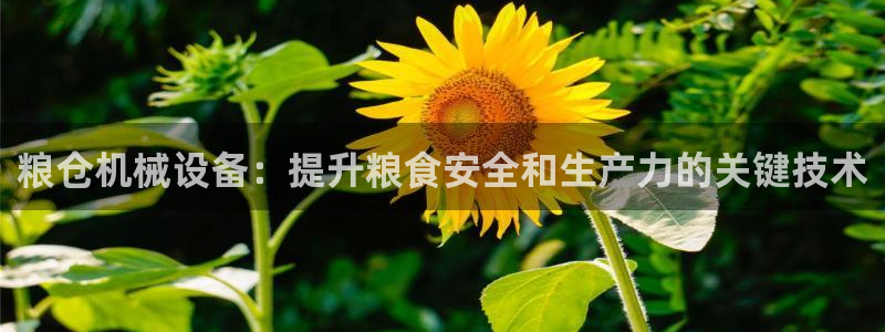 九游会国际厅有限责任公司