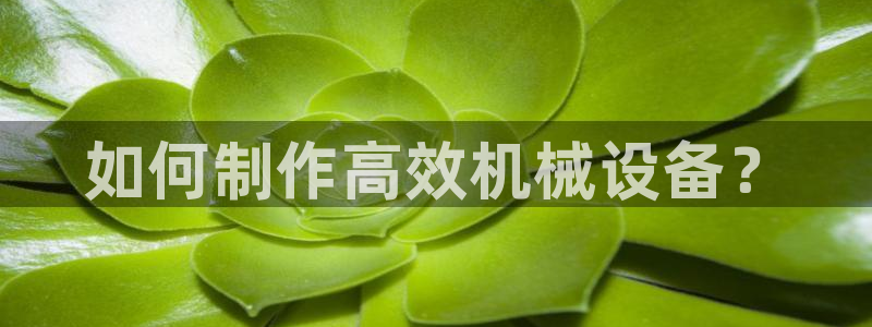 ag老玩家