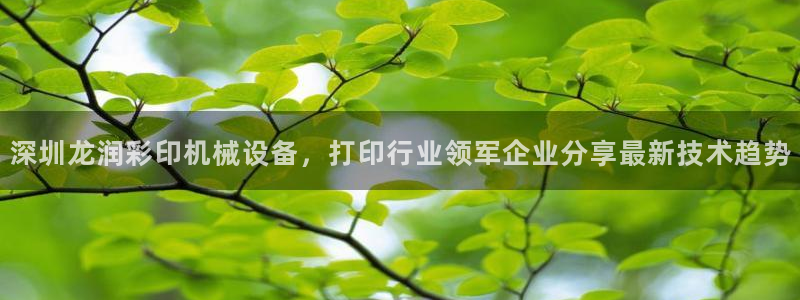 九游会中国入口