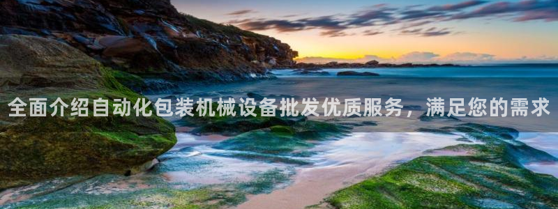 ag怎么变成九游会了