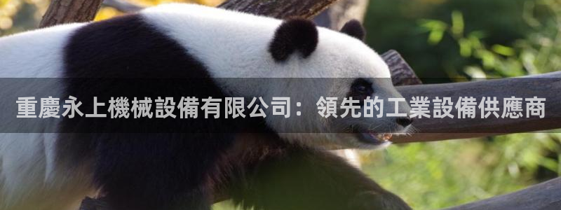 九游会怎么了