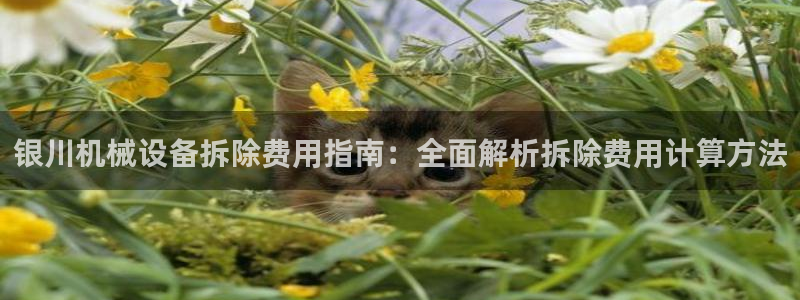 九游会网址在线玩