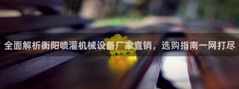 九游会j9官方网站
