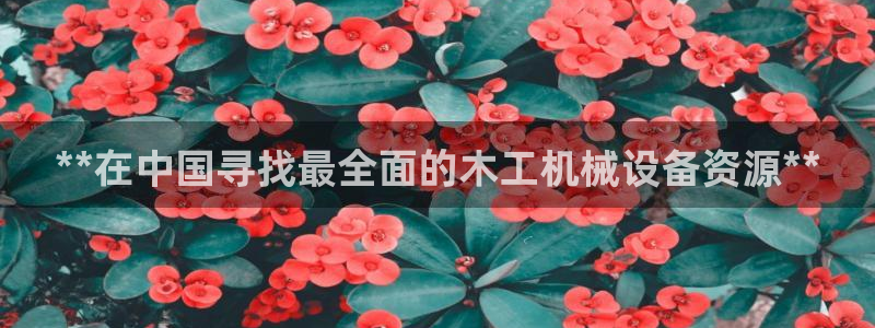 j9363九游会首页