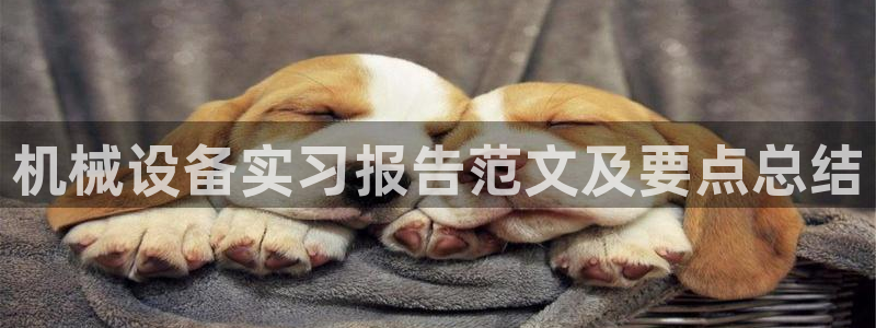 九游会平台入口