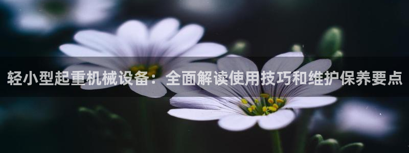 九游会app官方下载