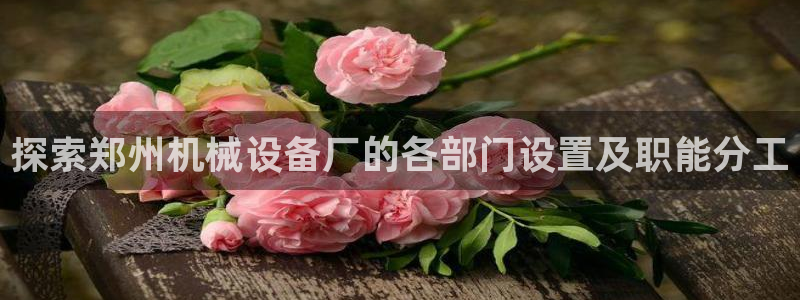 九游会官网入口首页