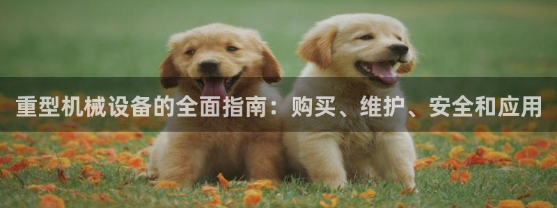 j9游会真人游戏第一品牌