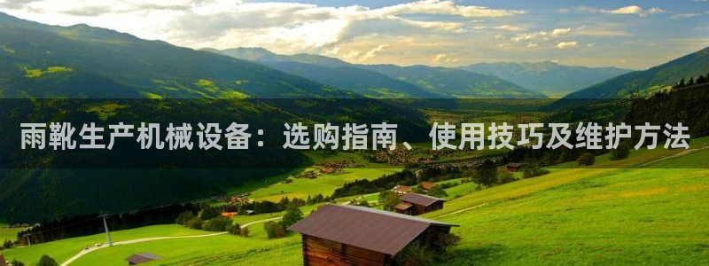 九游会ag官方平台
