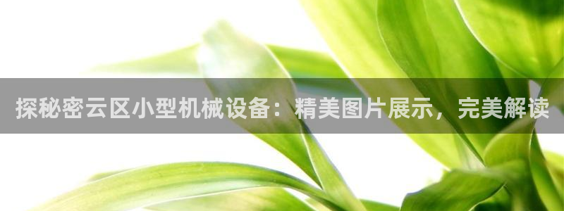 ag九游会vip8