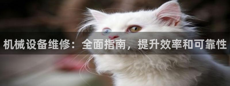 j9九游会入口j9
