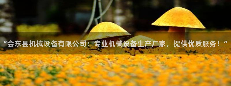 九游会官网入口ag亚洲