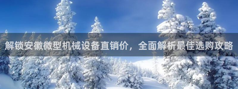 九游会ag亚洲