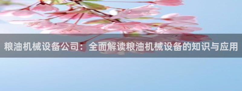 ag改名九游会