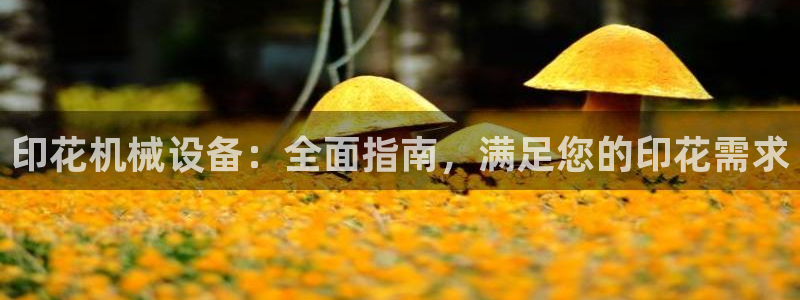 九游会集团正规吗