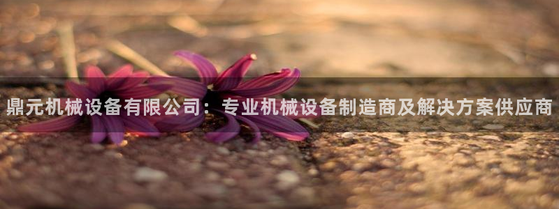 九游会ag真人官网ios