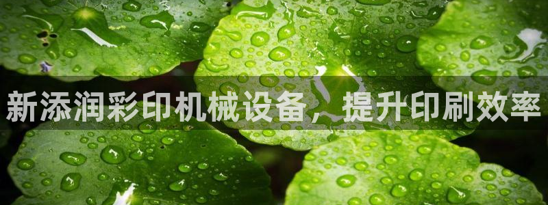 九游官网首页进入j9