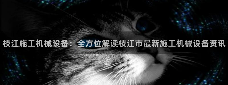 九游会官网ag旧版